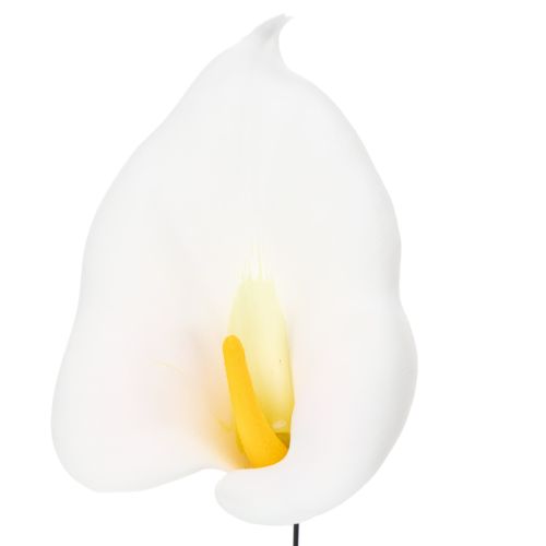 Artikel Calla mittel am Draht 50 St