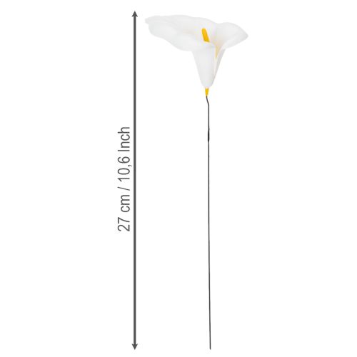 Artikel Calla mittel am Draht 50 St