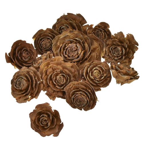 Artikel Zapfen von Zeder geschnitten als Rose Cedarrose 4-6cm natur 50 St