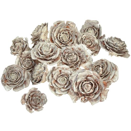Artikel Zeder Zapfen geschnitten wie Rose Cedarrose 4-6cm weiß/natur 50 St