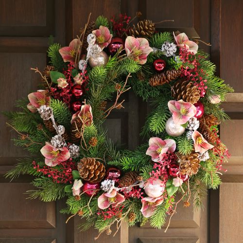 Floristik24 Eleganter Strauß Rosa Christrosen – 35 cm 6 St.