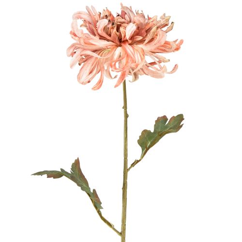 Floristik24 Chrysanthemen Rosa Lachs Künstlich Ø13cm L72cm 2St