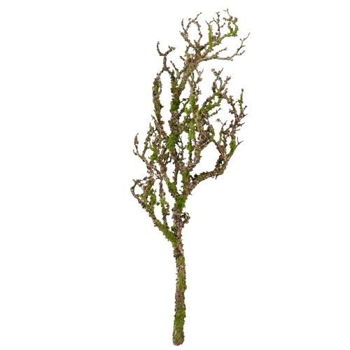 Floristik24 Deko Ast mit Moos Künstlich Herbstdeko Grau Grün L78cm