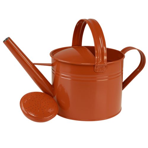 Metall Deko Gießkanne im Landhausstil Orangebraun 26cm 5L - Vielseitig einsetzbar als Pflanzgefäß & Dekokanne | Floristik24.de