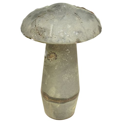 Floristik24 Deko Pilz Metall Herbst Grün Rost Vintage 30cmx50cm
