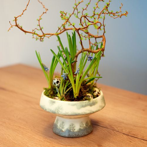 Floristik24 Deko Schale Keramik mit Sockel Creme Graugrün Ø17cm 10cm