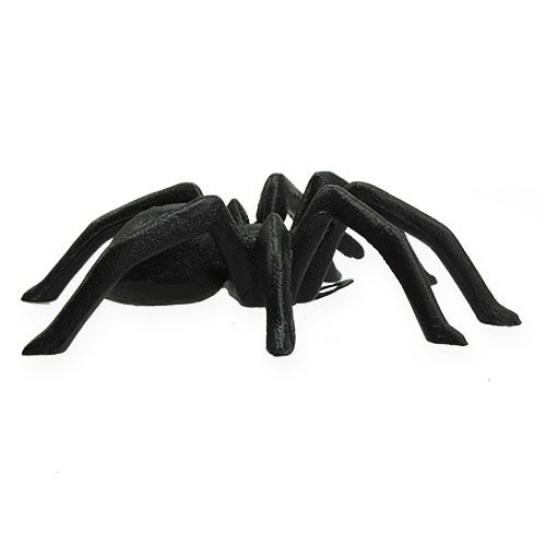 Floristik24 Spinne Dunkelbraun 13,5cm