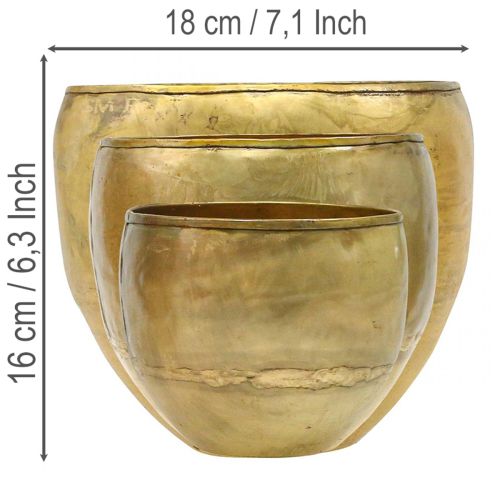 Deko Vasen Messing-Optik Metallvasen Ø18/15/12,5cm 3er-Set | Floristik24.de