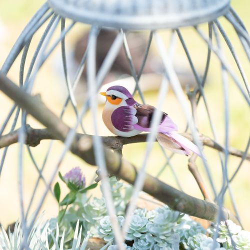 Floristik24 Deko Vögel Federn am Draht 6-fach sortiert 8x3,5cm 12 St