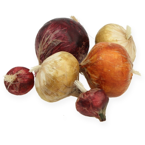 Zwiebel groß & klein künstlich 14St.