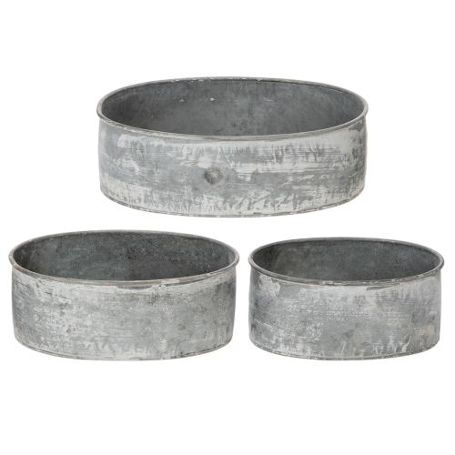 Dekoschale Metall Steckschale Oval Grau L22,5/19,5/16cm 3er-Set | Floristik24.de