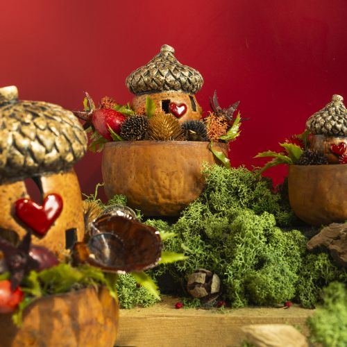 Floristik24 Eichel-mit Fenster und Herzdeko 9,8 cm – Stimmungsvolle Herbst- und Winterdekoration – 4 St