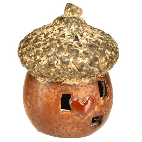 Floristik24 Eichel-mit Fenster und Herzdeko 9,8 cm – Stimmungsvolle Herbst- und Winterdekoration – 4 St