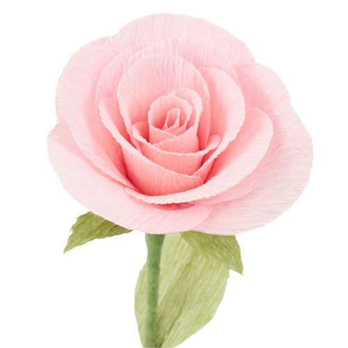 Artikel Floristen-Krepppapier Rosa 50x250cm