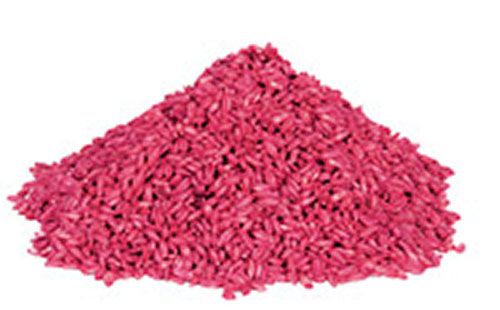 Floristik24 Celaflor Rattolin Getreideköder 575g