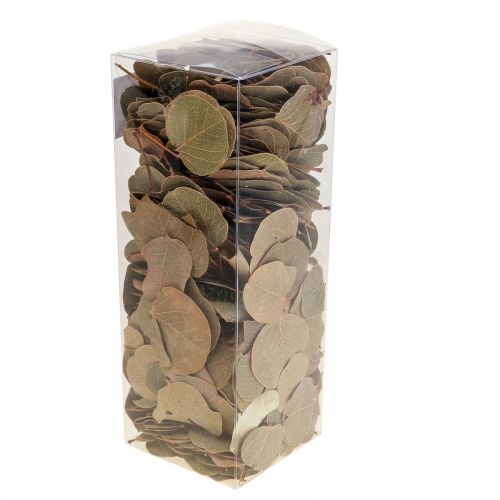 Getrocknete Blätter Deko Moneta Trockenfloristik Natur 200g | Floristik24.de