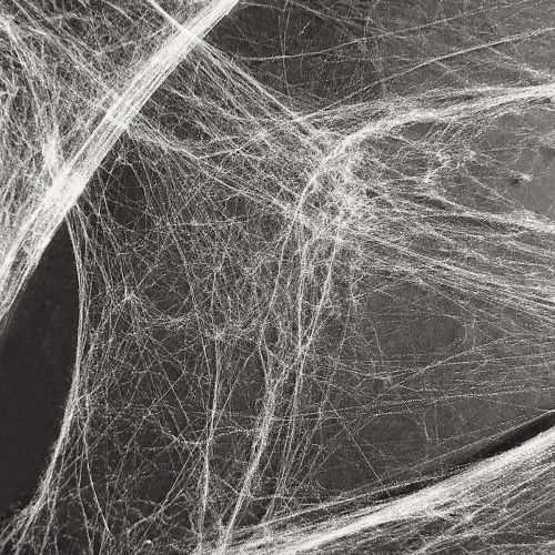 Floristik24 Halloween Deko Spinnennetz Spinnweben 70×100cm 150g