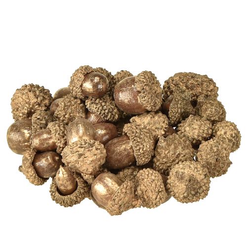 Floristik24 Herbstfrüchte Golden, festlicher Herbstschmuck, Deko-Eicheln natürlich, Adventsdeko Ø1,5 – 2,5cm L1,5 – 3cm 300g