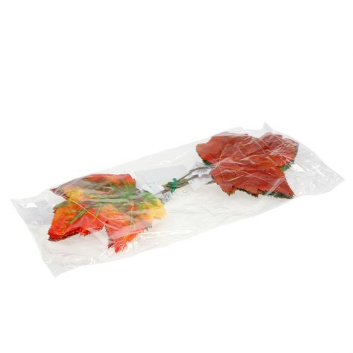 Floristik24 Ahornblatt Deko 36cm 12St