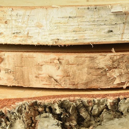 Floristik24 Holzscheiben Birkenholz mit Rinde Baumscheiben Ø20-22cm 3 St