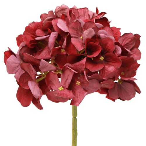 Floristik24 Hortensie Künstlich Burgund Große Blüte Ø15cm L58cm 2St