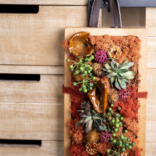 Artikel Kalix Pilz Natur lackiert 100 St