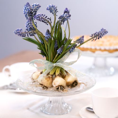 Floristik24 Klassische Glas-Tortenplatte auf Fuß - Elegant für jede Feier Ø 20cm