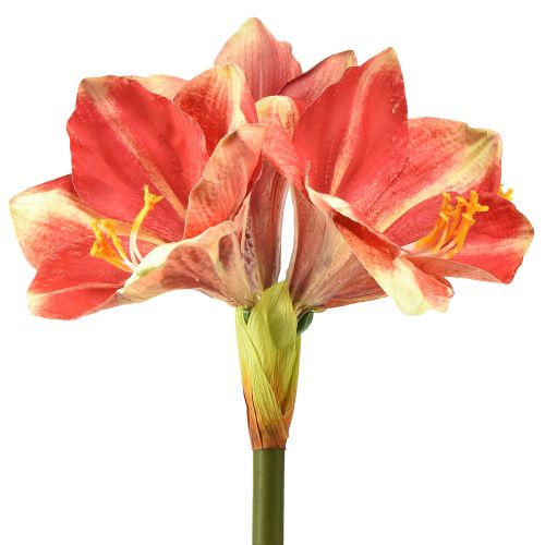 Artikel Künstliche Amaryllis Pink und Creme – Große Stielblume 76cm