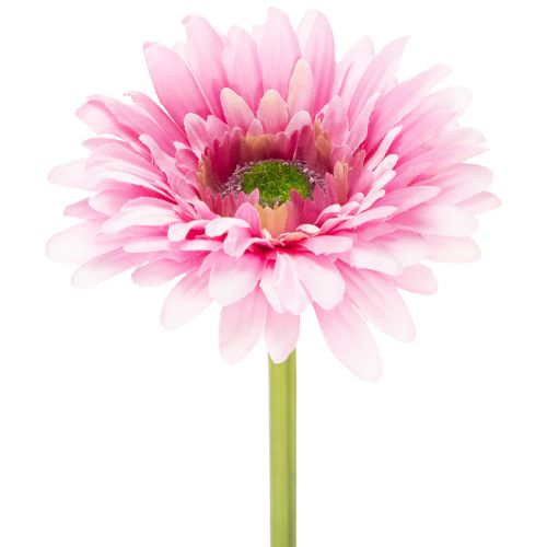 Künstliche Blumen Gerbera Garten Kunstblumen Rosa 47cm 6St kaufen | Floristik24.de