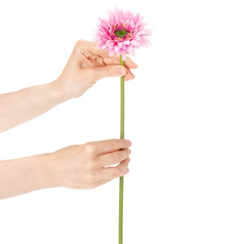 Künstliche Blumen Gerbera Garten Kunstblumen Rosa 47cm 6St | Floristik24.de