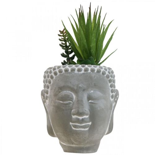 Floristik24 Künstliche Sukkulenten Blumentopf Buddha Ø12cm H25cm