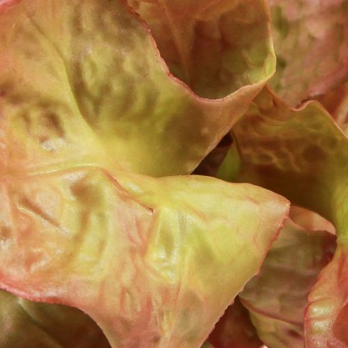 Artikel Künstlicher Salat Lollo Rosso Deko Salatkopf Ø20cm
