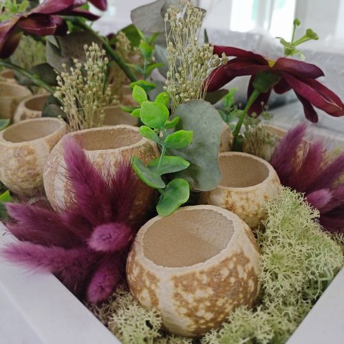 Artikel Kürbis Deko Bell Cup Pumpkin Cup gebleicht 50 St