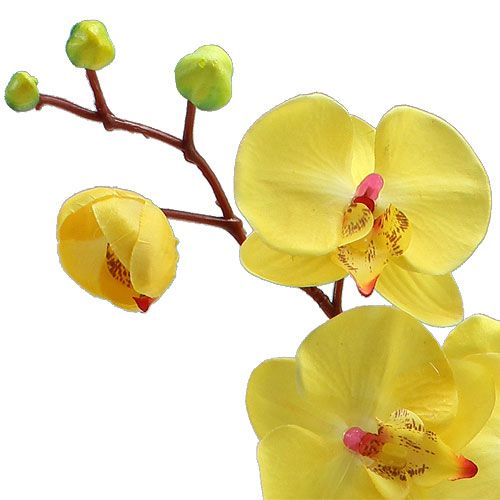 Floristik24 Künstliche Orchidee Gelb 68cm