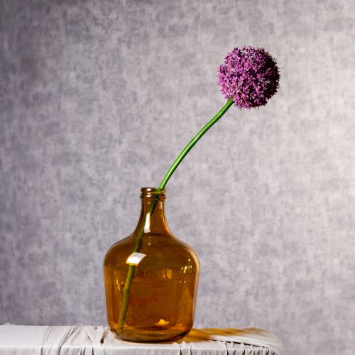 Kunstblume Allium Zierlauch elegante Raumdekoration 90cm | Floristik24.de
