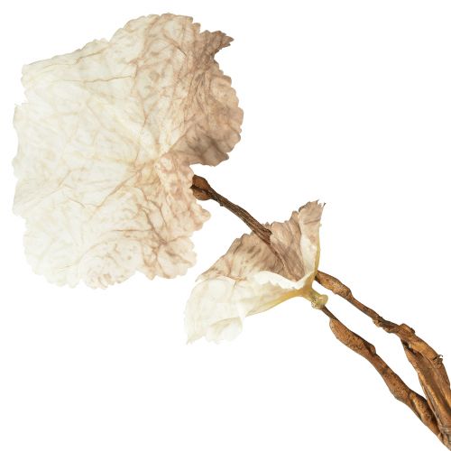 Artikel Kunstzweig Herbst Heuchera Künstlich Braun Creme L85cm