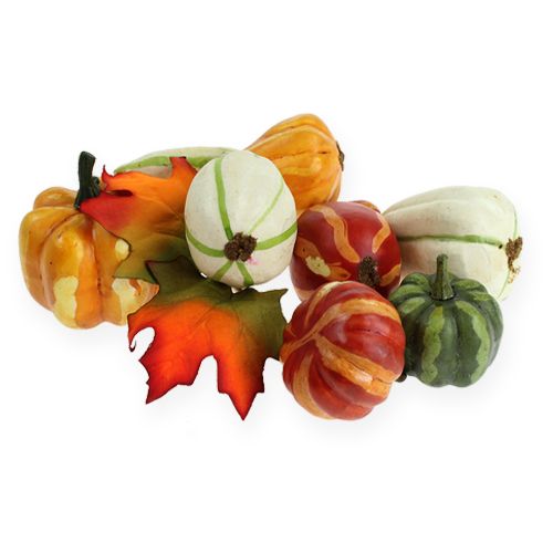 Kürbismix bunt 12St | Floristik24.de