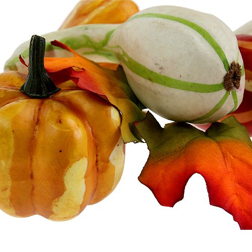 Kürbismix bunt 12St | Floristik24.de