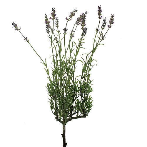 Floristik24 Künstlicher Lavendel 53cm