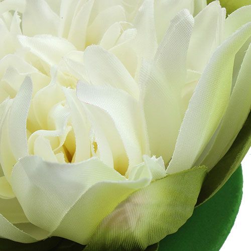 Floristik24 Künstliche Lotusblüte Creme 13cm 4St