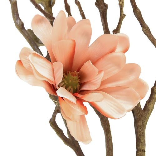 Floristik24 Magnolienzweig mit 6 Blüten Magnolie künstlich Lachs 84cm