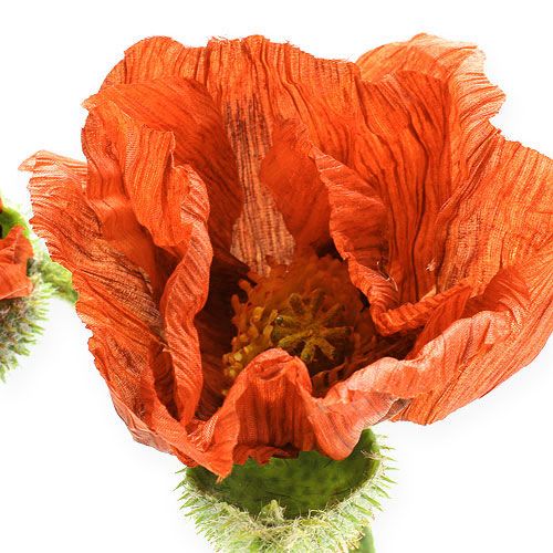 Floristik24 Mohnblume Orange 67cm 2St