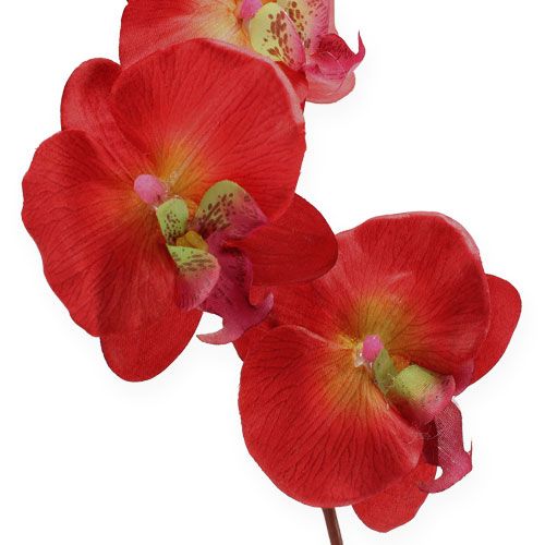 Artikel Deko Orchidee Rot 68cm