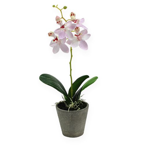 1:12 Maßstab Lila Orchidee in Topf Tumdee Puppenhaus Blumengarten Zubehör 9 