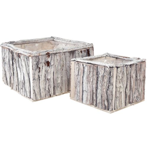 Floristik24 Pflanzkasten Holz mit Rinde Natur Weiß 17/24cm Set aus 2St