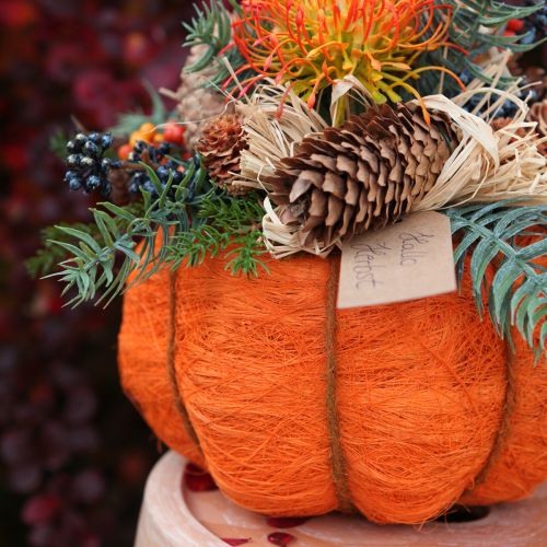 Artikel Pflanztopf Kürbis Deko Orange/Gelbgrün Sisal Ø21cm H12cm