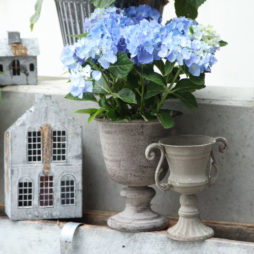 Floristik24 Pokal Schale Grau Ø11cm H19cm