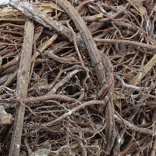 Floristik24 Rebenkranz Ø 40cm