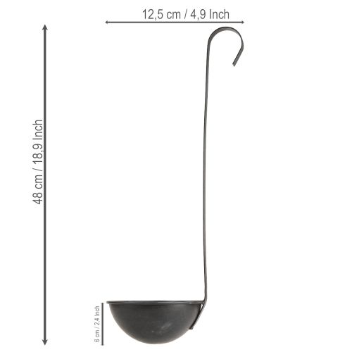 Schale zum Bepflanzen Deko Kelle Anthrazit Ø12,5cm 3St | Floristik24.de