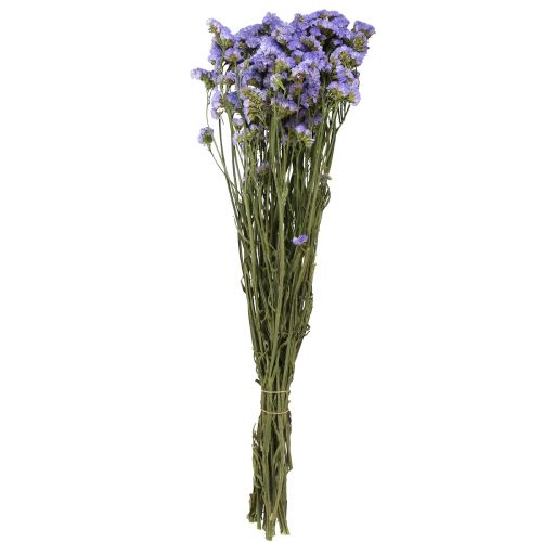 Floristik24 Strandflieder Lila Statice Limonium sinuatum Trockenblumen 60cm 50g